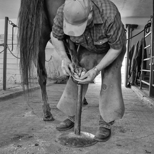 1819 PZInd2021 Barb Larson Never Ending Work