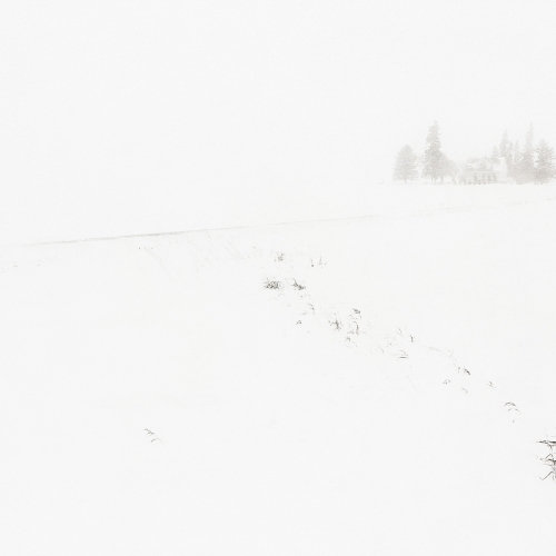 1838 PZInd2021 Winter