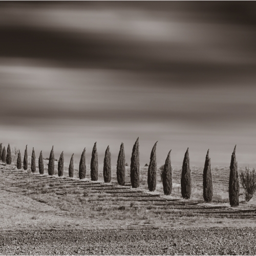 1st Merit - Landscape - Carmin Cristofaro - Puglia