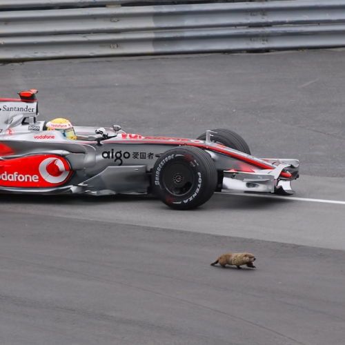 1st Merit Machinery Mike Streicher F1 Montreal Grand Prix Contestants