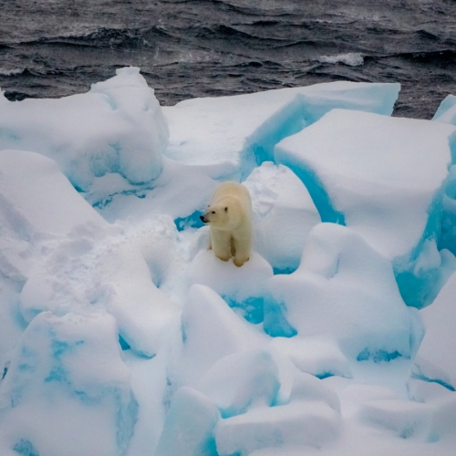1st Merit - Nunavut - Lesleyanne Ryan - Living On The Edge