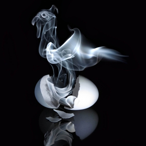 1st Place Merit Award - Roy Abbott - Ghostly Hatchling