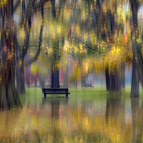 1st Merit Award AB Club Photo Impression Danielle Abran Coloration Automnale
