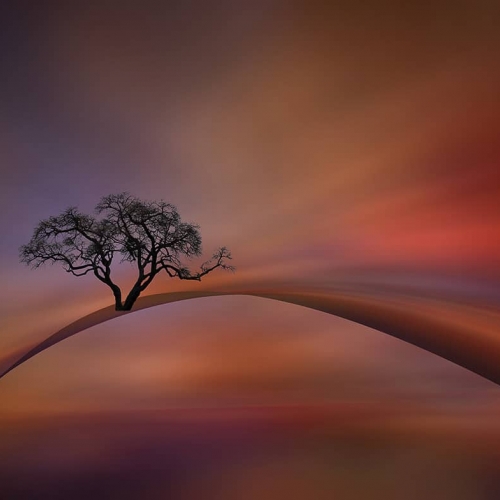 1st Merit Award AR North Shore Photographic Society Stephanie Alexandra Our Journey Awaits
