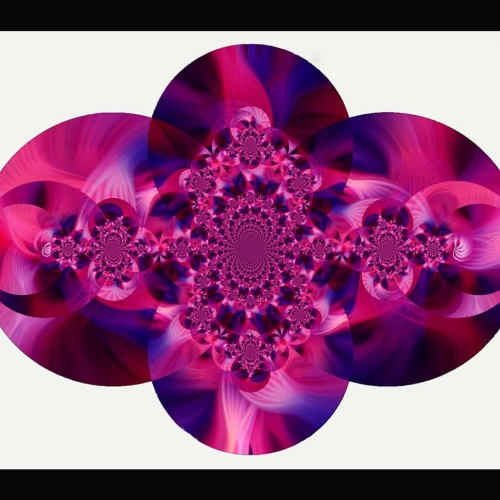 1st Merit Award SP Cowichan Valley Camera Club Jean Hamilton Fire And Lace