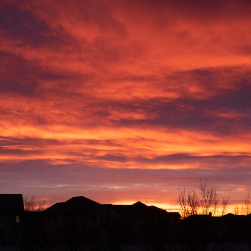 2283 PZInd2021 Bev Anne Moynham   Prairie Sunrise