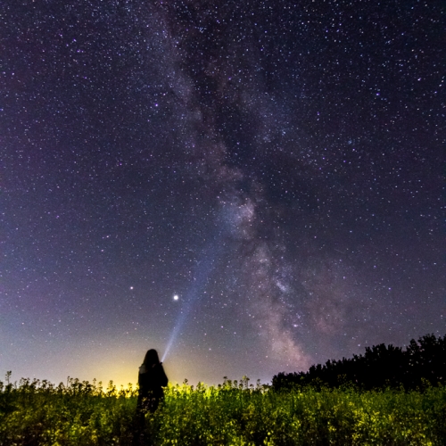 2804 PZInd2021 Counting Stars 5141 