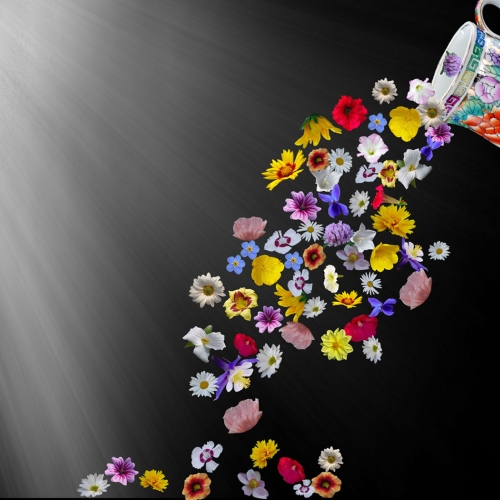 2nd Merit Award - Creative - Theres Frenette - Flower Spill