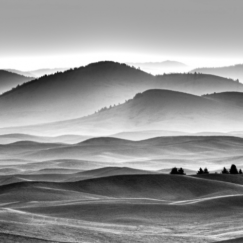 2nd Merit Landscape Lynn Fulton Steptoe Butte