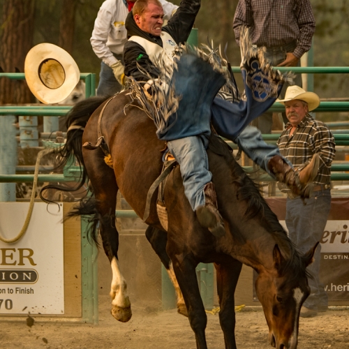 2nd Place Merit - Neil Weisenberg's image "Bareback Riding 4 "