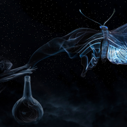 2nd Merit Award Altered Reality Trillium Photographic Club Doug Doede Sorcerer