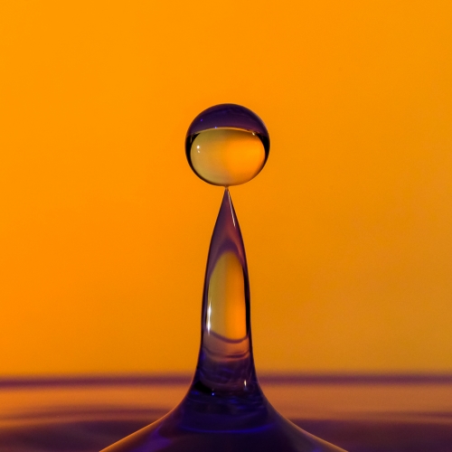 3rd Merit - Closeup - Phillip Shapiro - All About Capturing The Moment