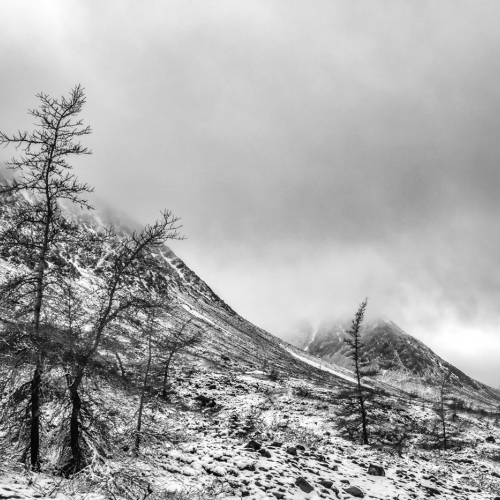 3rd Merit - Landscape - Club Photo Dimension - Line Biron - Neige En Juin