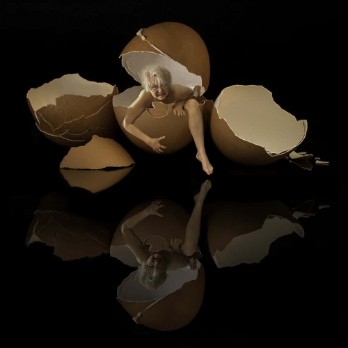 3rd Merit Award AR Harbour City Photography Club Maggie Tilley Hatching Some Fun