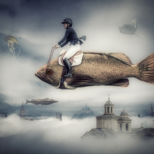 3rd Merit Award Altered Reality Surrey Photography Club Randall Epp Aquatic Steeplechase