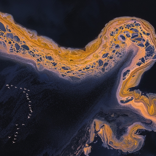 3rd Merit Award CCU Jiahua Elite Photography Association Yun Wang Flying Over Little Magadi