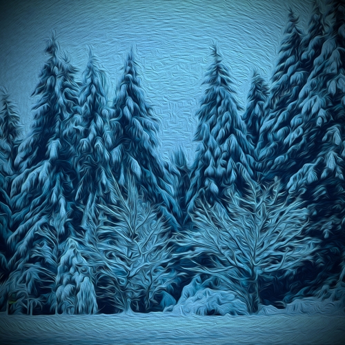 3rd Merit Award Smartphone Cowichan Valley Camera Club Jean Hamilton Cold Cold Day