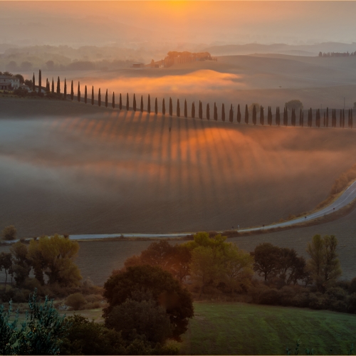 Honour Award Zbigniew Gortel GZ 91656 Long Shadows