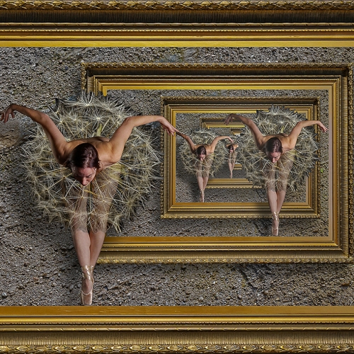 BRONZE MEDAL Etobicoke Camera Club Michel Gagnon Framed Dandelion Ballerina