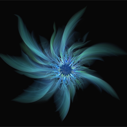 BRONZE MEDAL Etobicoke Camera Club Sam Elogio Dreamy Blue Flower