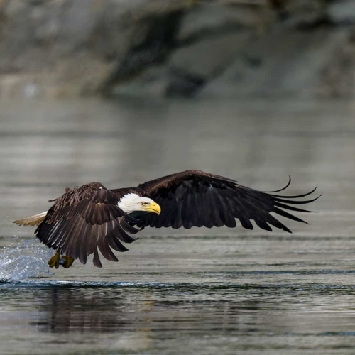 BRONZE MEDAL-Kathryn Delany-Successful Fishing