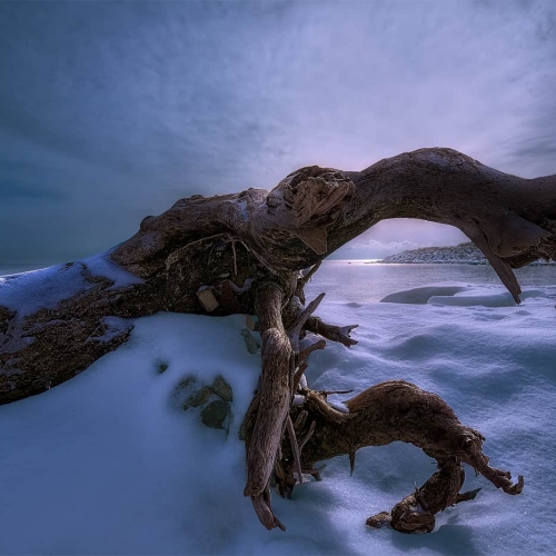 BRONZE MEDAL Richmond Hill Camera Club Ben Liu Last Dignity