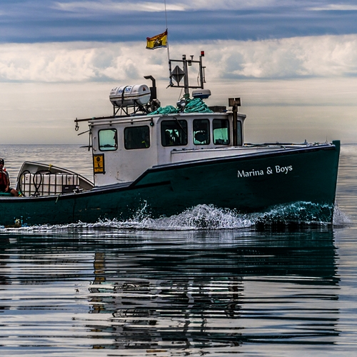 Brad.Chapman Fisherman Coming Home