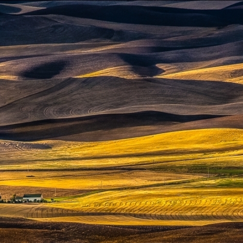 Bronze Blake Ford 2 Farms In The Palouse