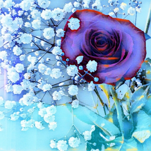 Bronze Medal - Elif Barut - Winter Rose