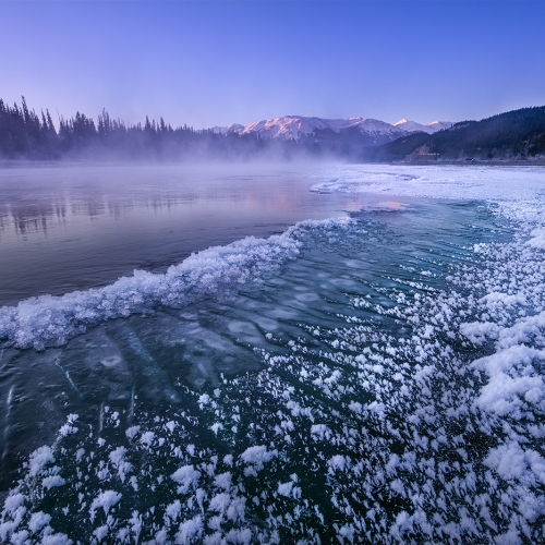 Bronze Medal Jian Wang Blue Winter