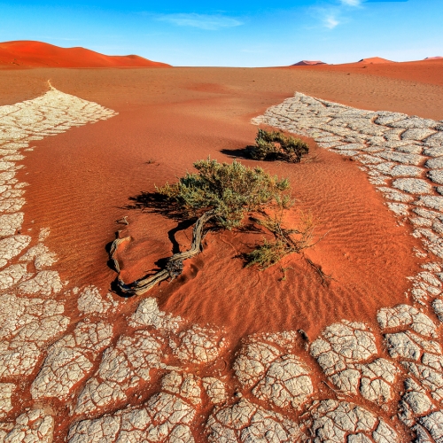 Bronze Medal Katherine Wong Clay Formation In Sossouvlei