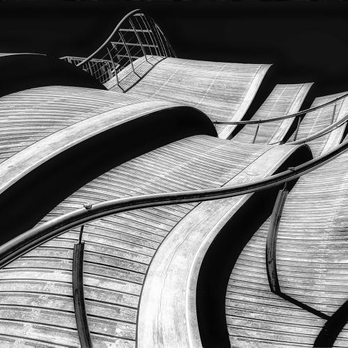 Bronze Medal - Rhonda Starr "Undulating Boardwalk"