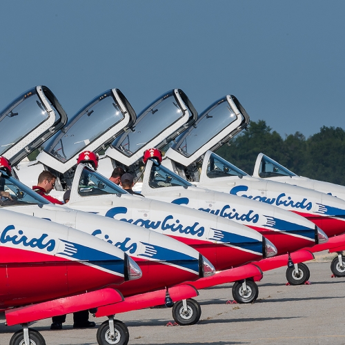 Bronze Medal - Robert Parker's image "Snowbirds"