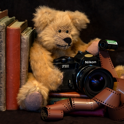 Bronze Medal Viki Gaul Bear Necessities