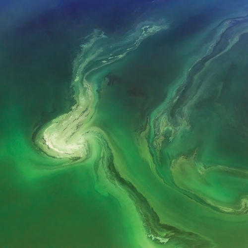 Bronze Medal - Yun Wang's image "Aerial Shot Of Lake Bogoria"