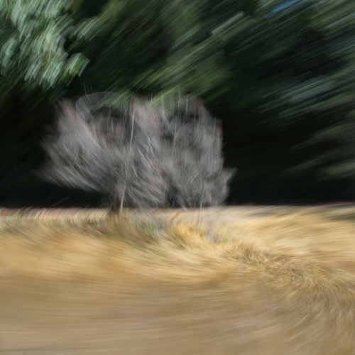 Camera Motion Experiment