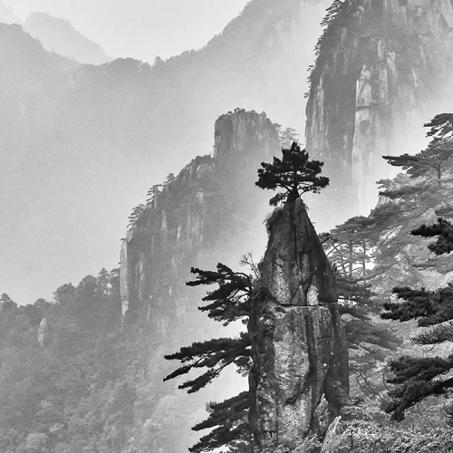 GOLD JEPA Yanchun Wang - Ink Painting Mountain