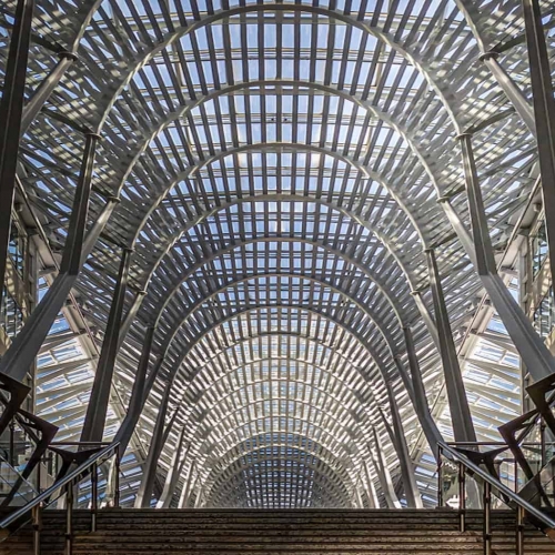 GOLD MEDAL London Camera Club Brent Cha,Bers Steps To The Vaulted Galleria