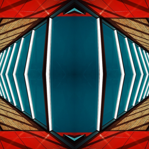 GOLD MEDAL Louie Luo Fish Eye View