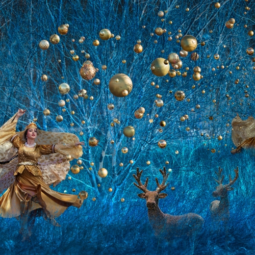 GOLD MEDAL Toronto Camera Club Linda Rosen Blue Hour
