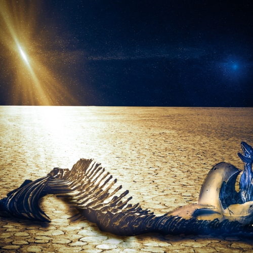 GOLD MEDAL Toronto Camera Club Shiree Jetha A Foredoomed Destiny