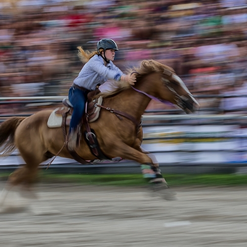 Gold Medal - Anita Lee's image "Horse Riding"