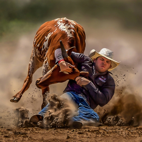 Gold Medal - Daniel Tang - Steer Wrestling
