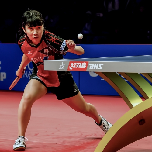Gold Medal Dominic Leung Hitting Back