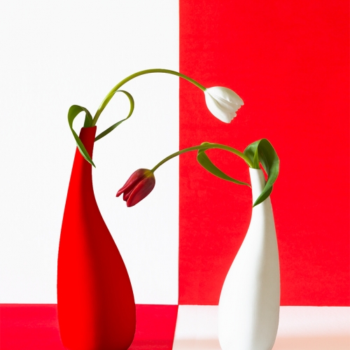 Gold Medal Jean Wang Red And White