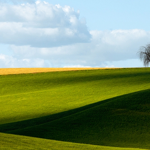 Gold Medal Kathy McDevitt A Rural Beauty