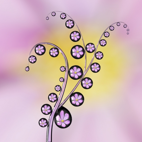 Gold Medal - Ilia Tyker's "Droplets"