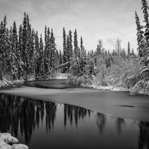 Gold Medal Mark Girard Chena River Alaska