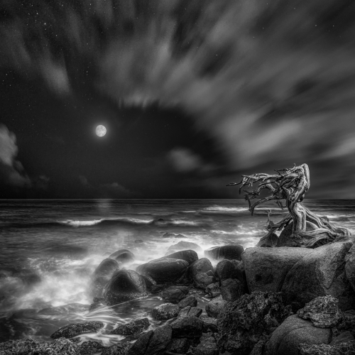 Gold Medal - Rick McKenzie - The Night's Light