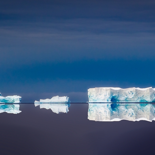 Gold Medal - Ron Goodlin's "Antarctic Trio"